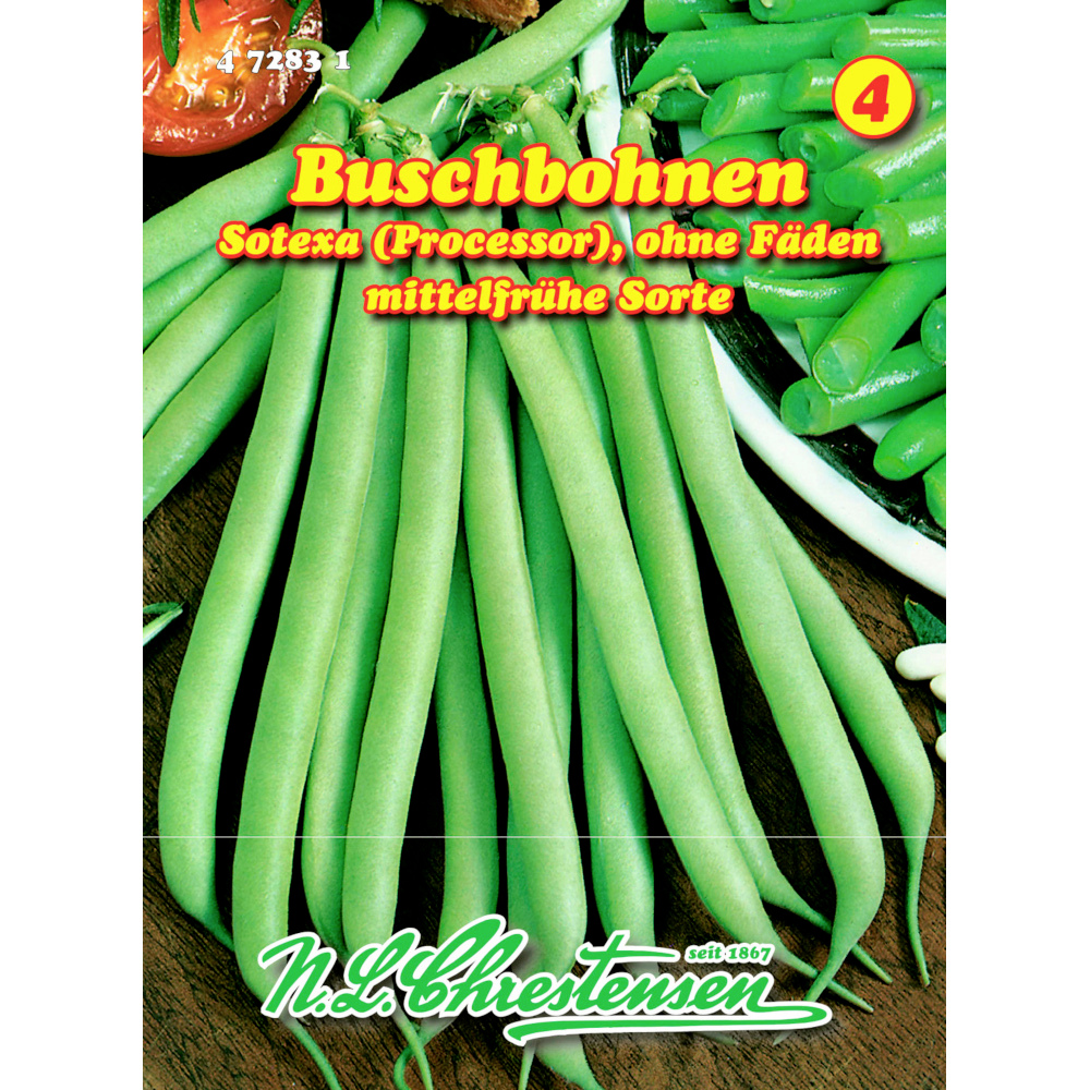 Saatgut Buschbohnen Sotexa ca. 9 laufende Meter