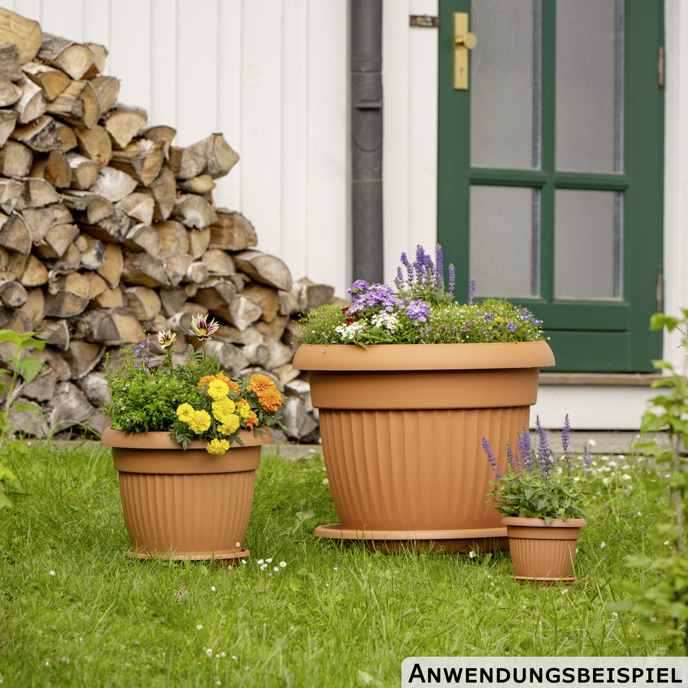 Prosperplast Blumentopf Terra rund in terracotta image number 3