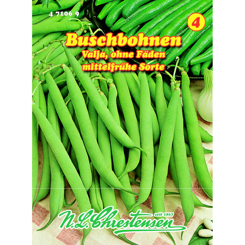 Saatgut Buschbohnen Valja ca. 9 laufende Meter image number 0