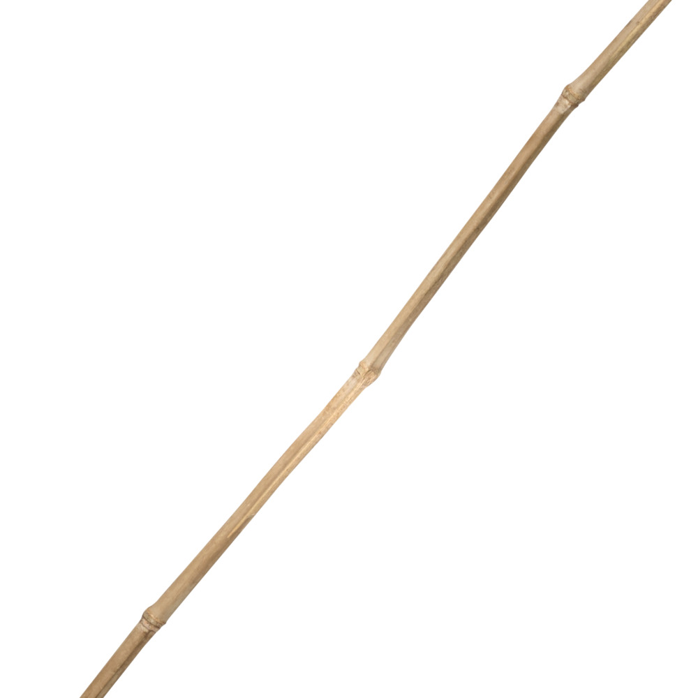 Tonkinstab 180 cm aus Bambus image number 2
