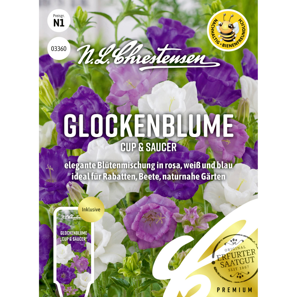 Saatgut Glockenblume Cup & Saucer