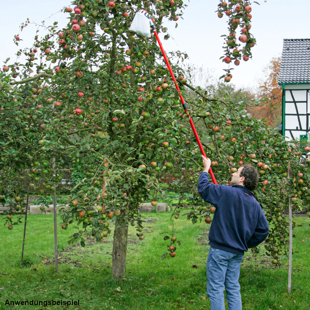 Obstpflücker Ø 13 cm mit Teleskopstiel max. 3 m image number 1