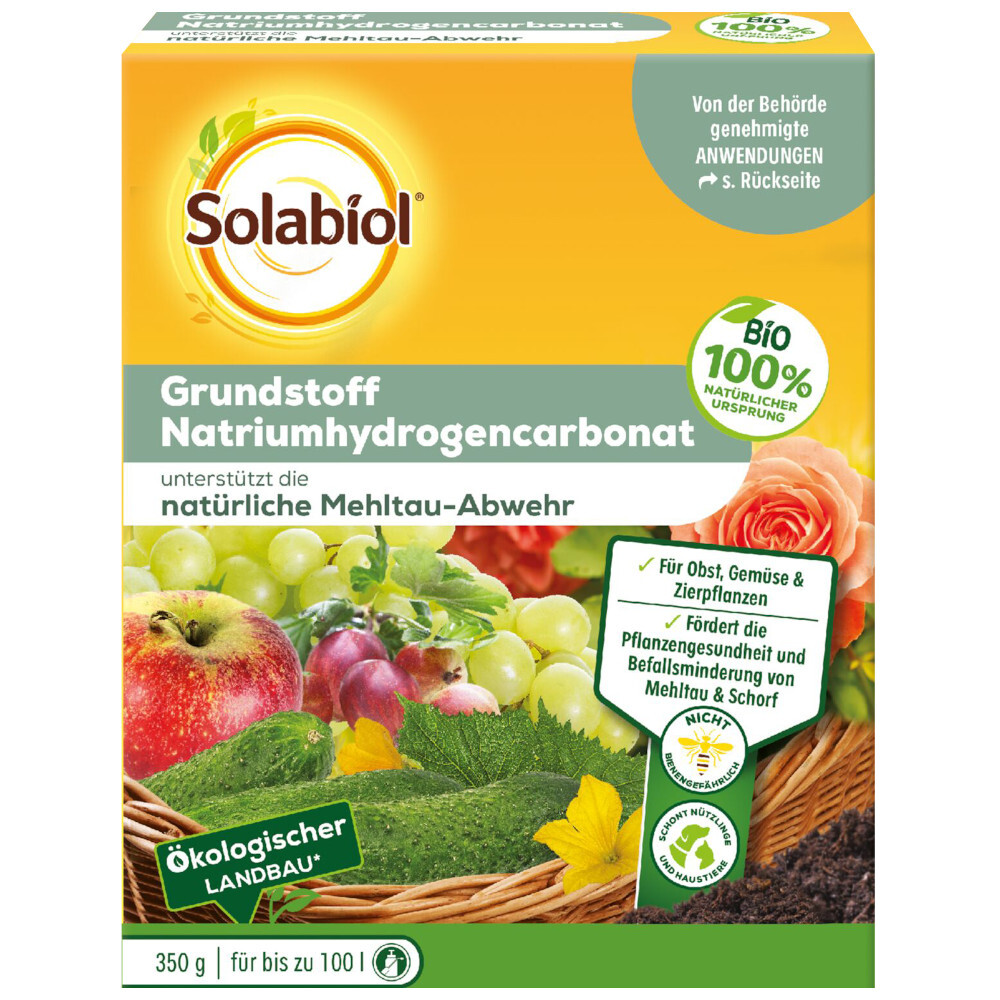 Solabiol® Grundstoff Natriumhydrogencarbonat-Konzentrat 350 g