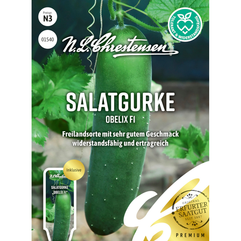 Saatgut Freilandsalatgurke Obelix ertragreich image number 0