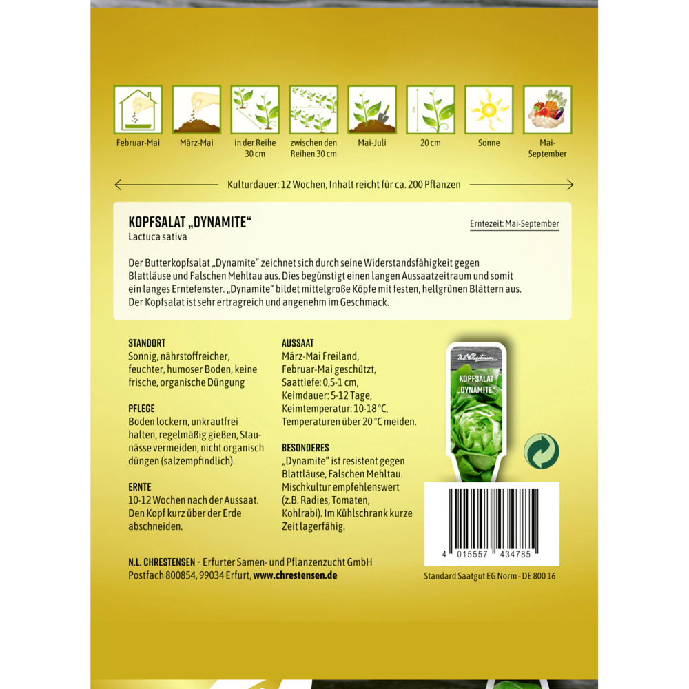 Saatgut Kopfsalat Dynamite image number 1