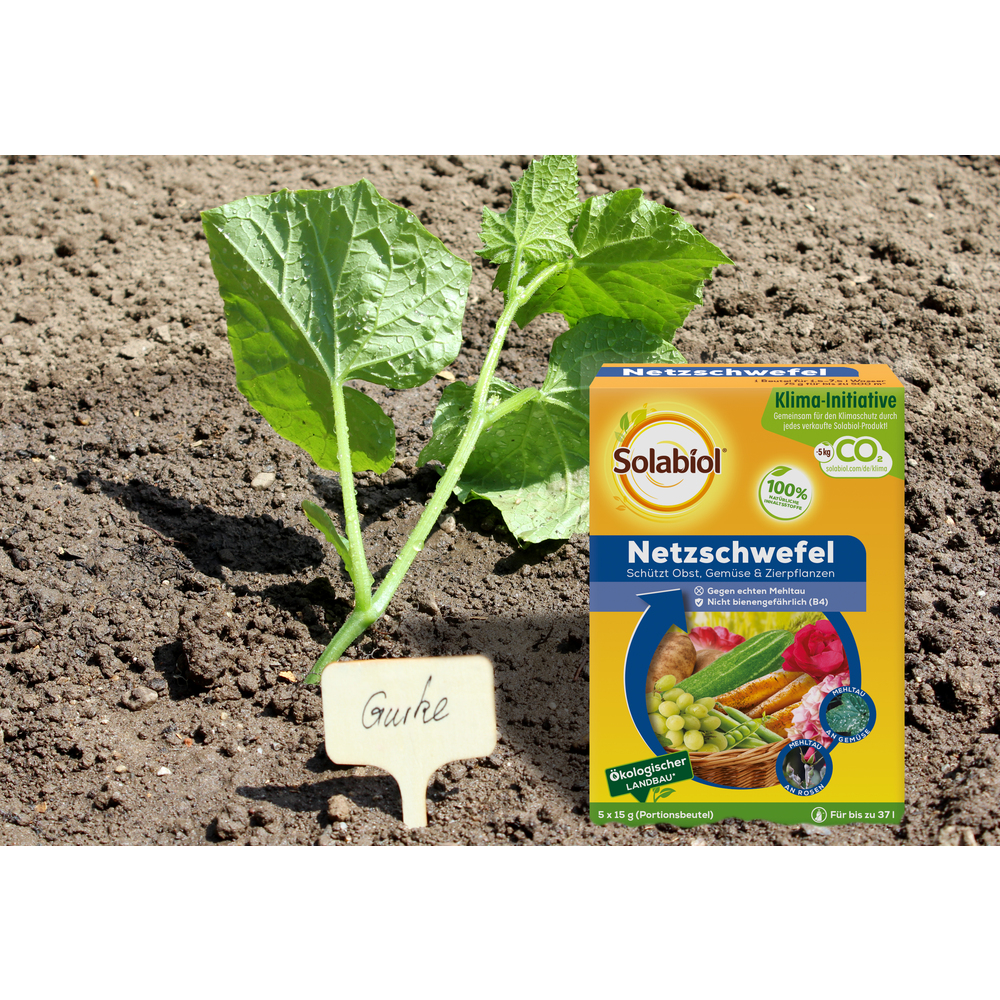 Solabiol&reg; Netzschwefel gegen Mehltau 75g image number 1