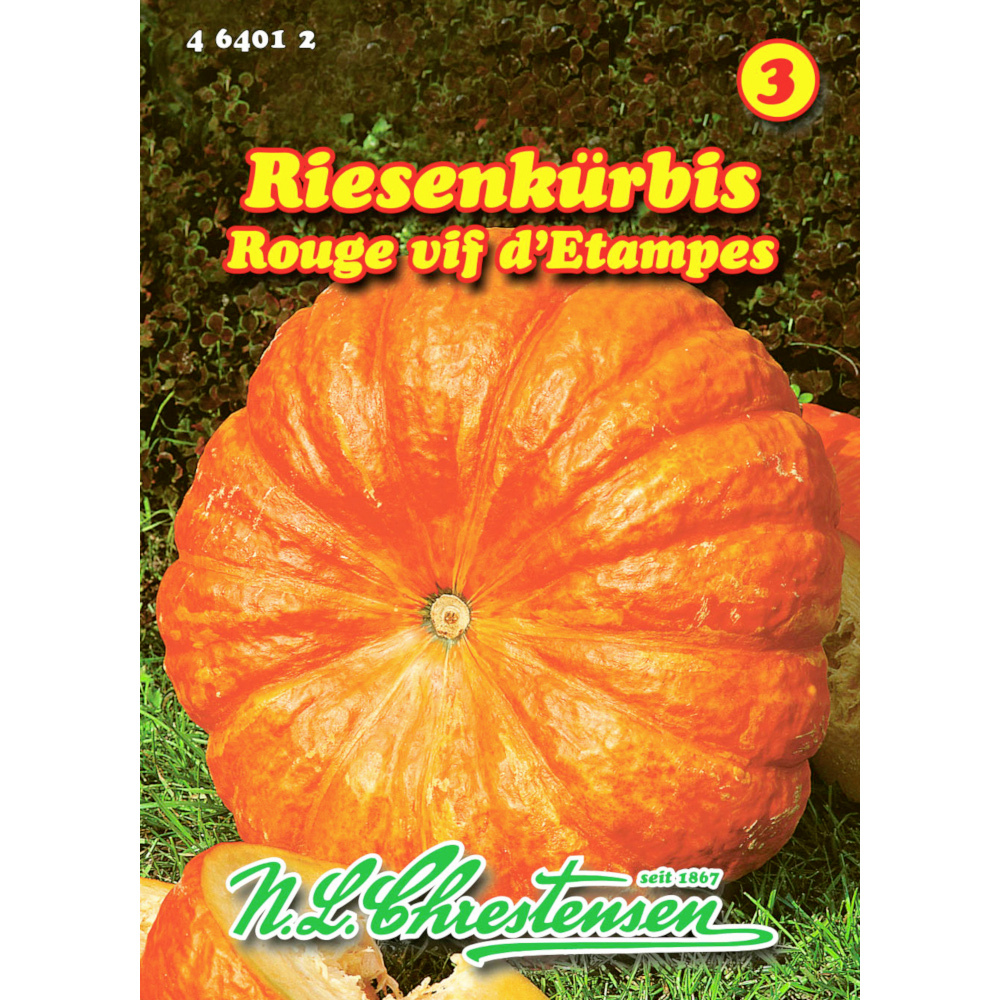 Saatgut Riesenkürbis ca. 3–5 Pflanzen image number 0
