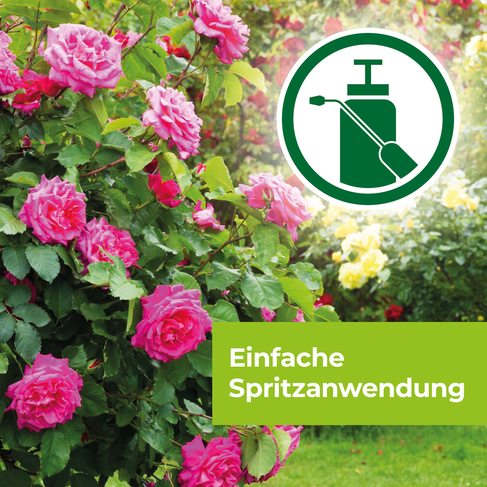 Protect Garden Curamat AZ Rosen-Pilzfrei 15 ml image number 7