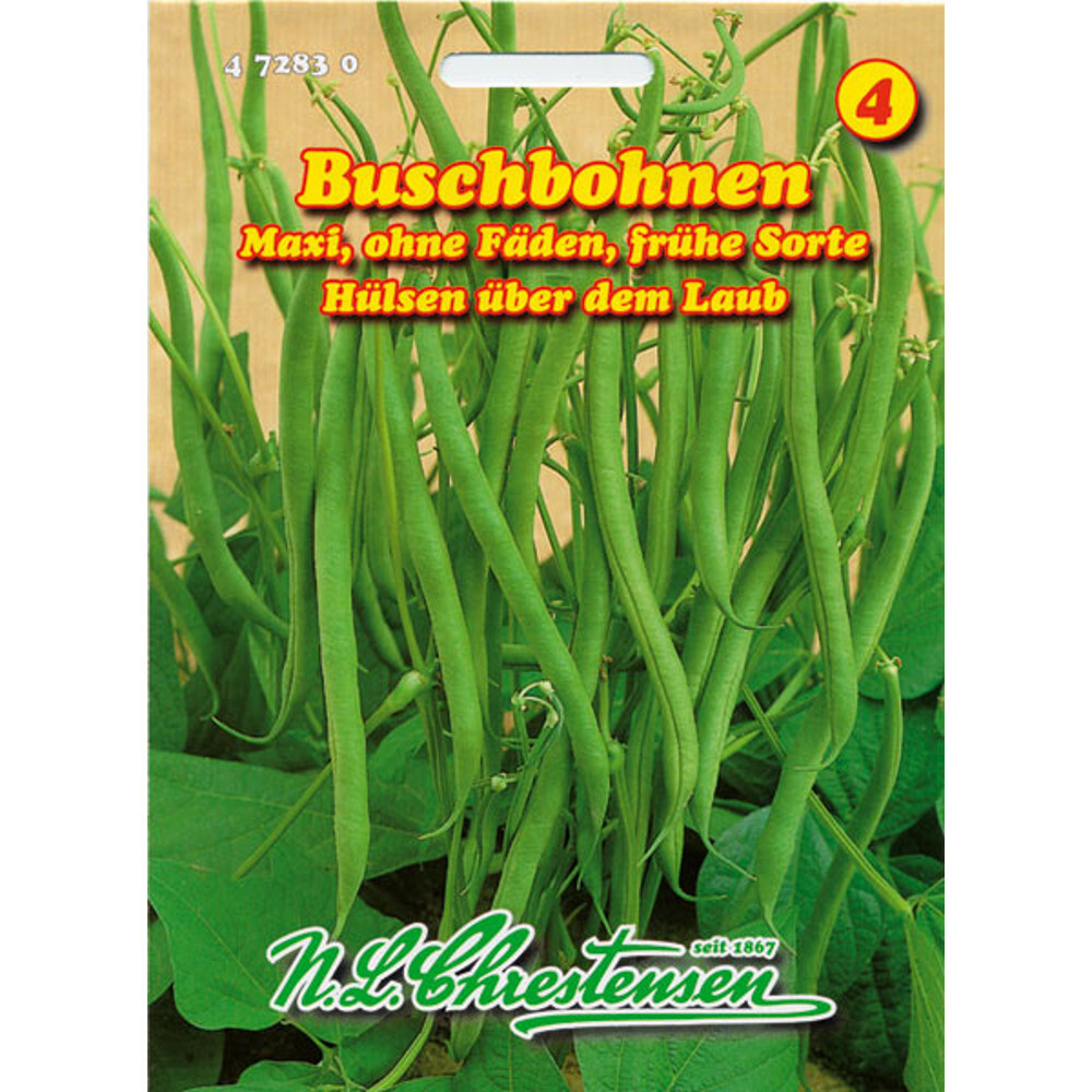 Buschbohnen Maxi ca. 9 laufende Meter image number 0