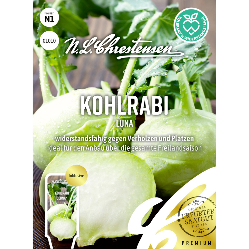 Saatgut Kohlrabi Luna ca. 80 Pflanzen