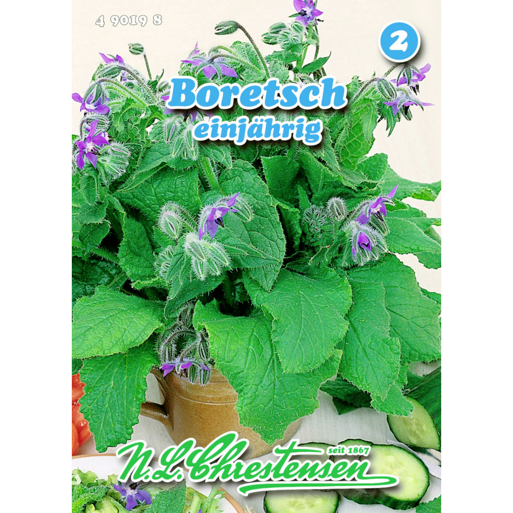 Saatgut Boretsch ca. 80 Pflanzen