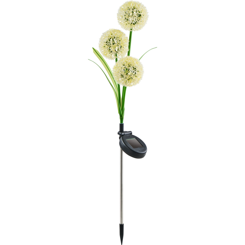 Solar LED-Pustenblume
