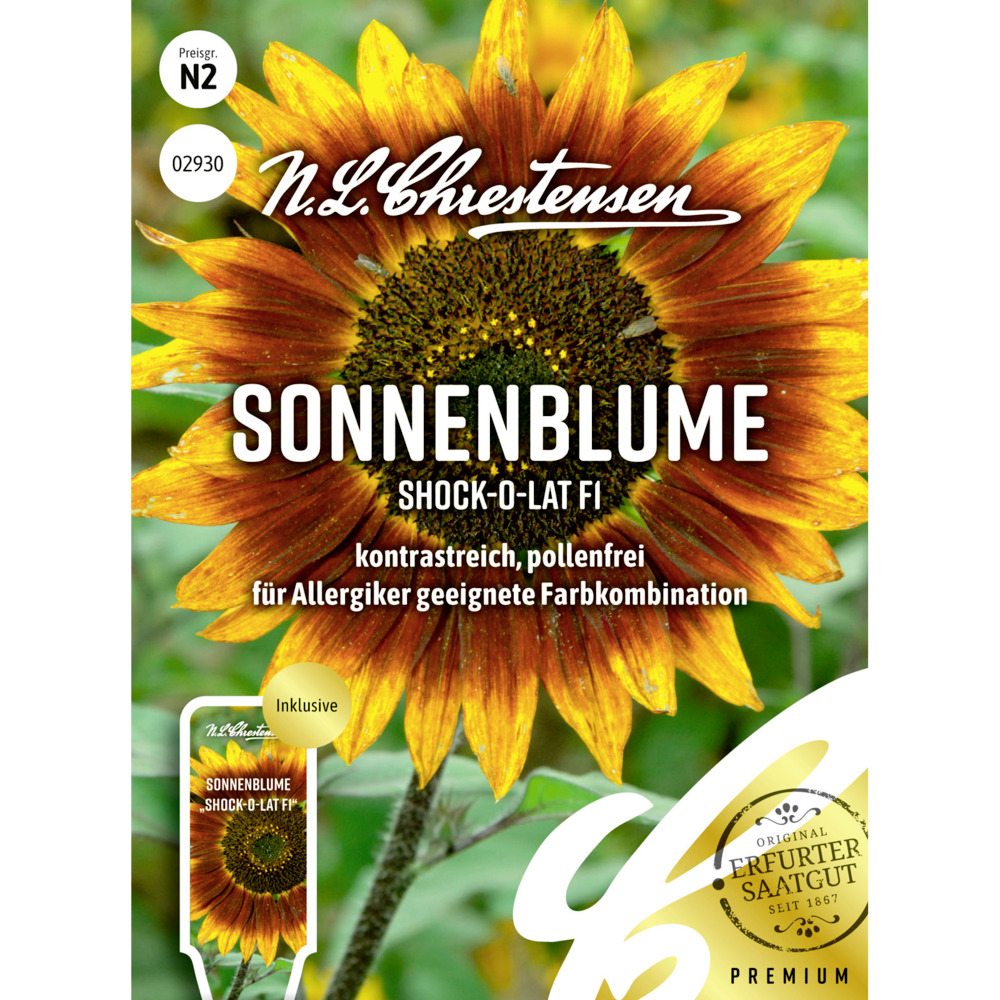 Saatgut Sonnenblume Shock-o-lat F1 image number 0