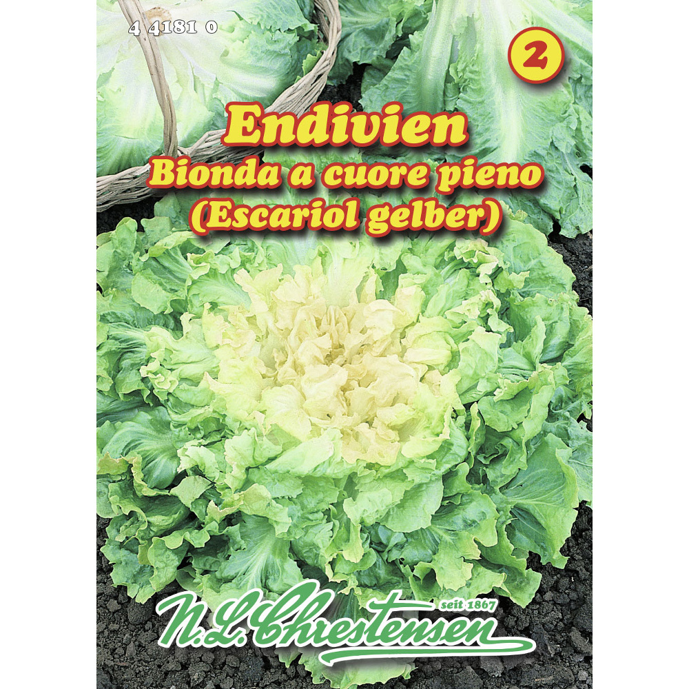 Saatgut Endivien ca. 400 Pflanzen