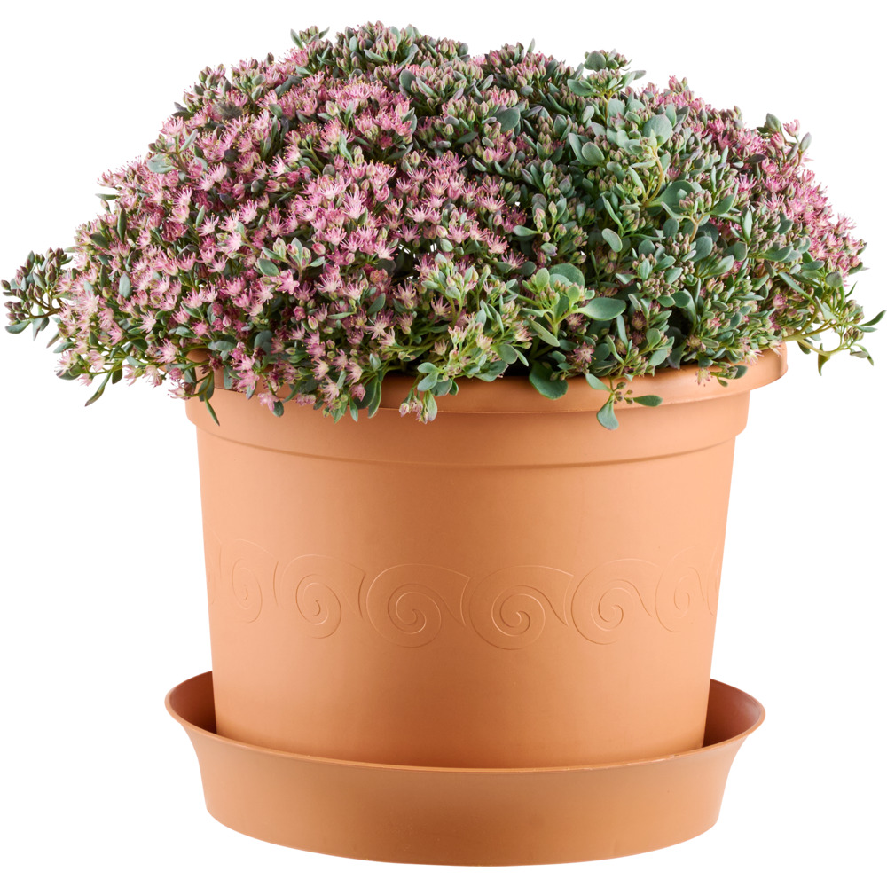 Prosperplast Planztopf Plastica rund 15 cm terracotta image number 2