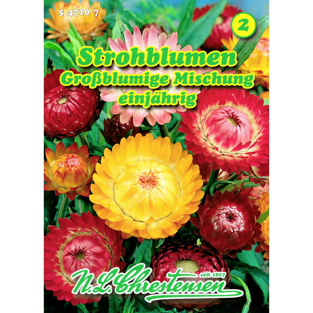 Saatgut Strohblumen-Mix großblumig ca. 100 Pflanzen