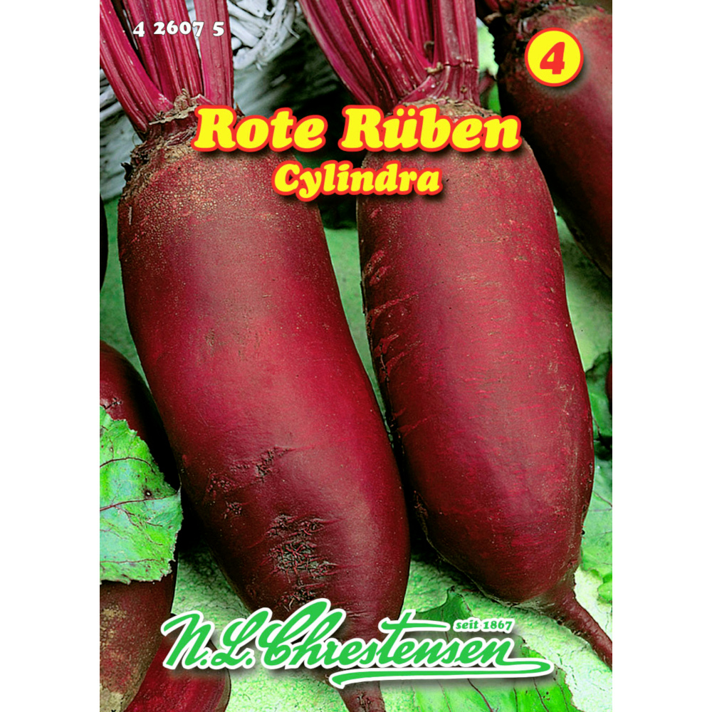 Saatgut Rote Rübe Cylindra ca. 120 Pflanzen image number 0
