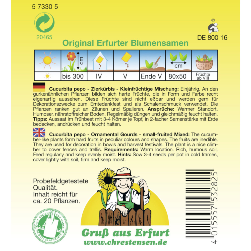 Saatgut Zierkürbis Mix ca. 20 Pflanzen image number 1