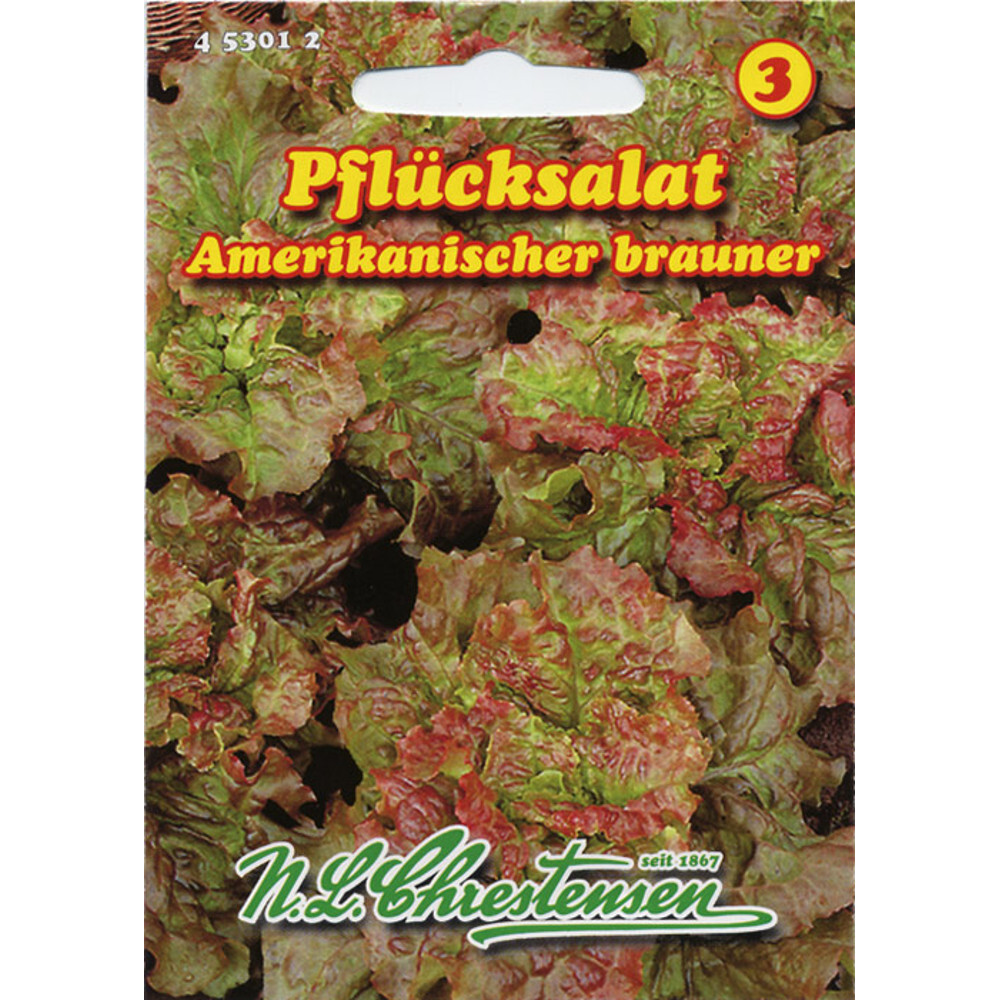 Saatgut Pflücksalat Amerikanischer ca. 200 Pflanzen image number 0