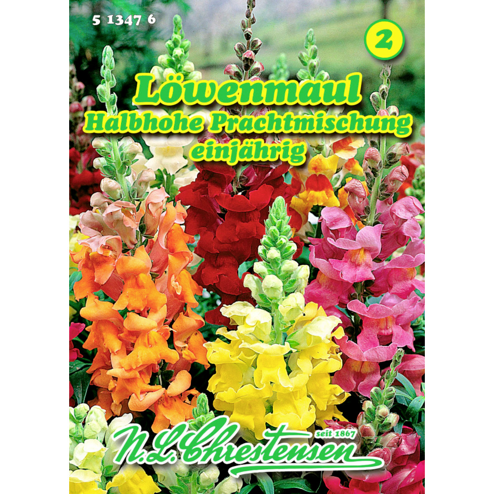 Saatgut Löwenmaul Prachtmix ca. 200 Pflanzen bunt