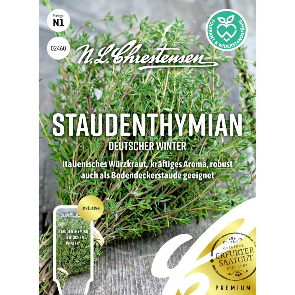 Saatgut Staudenthymian Deutscher Winter image number 0