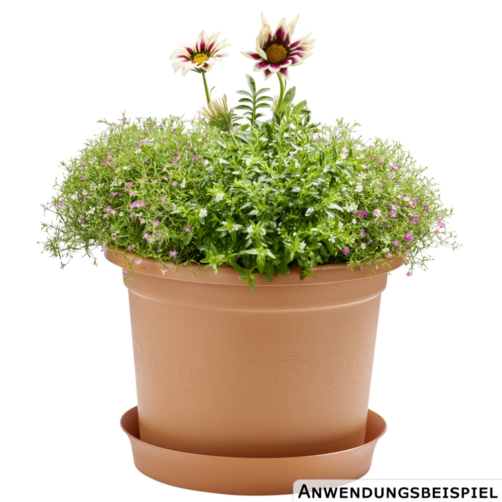 Prosperplast Blumentopf Plastica Ø 34 cm in terracotta image number 1