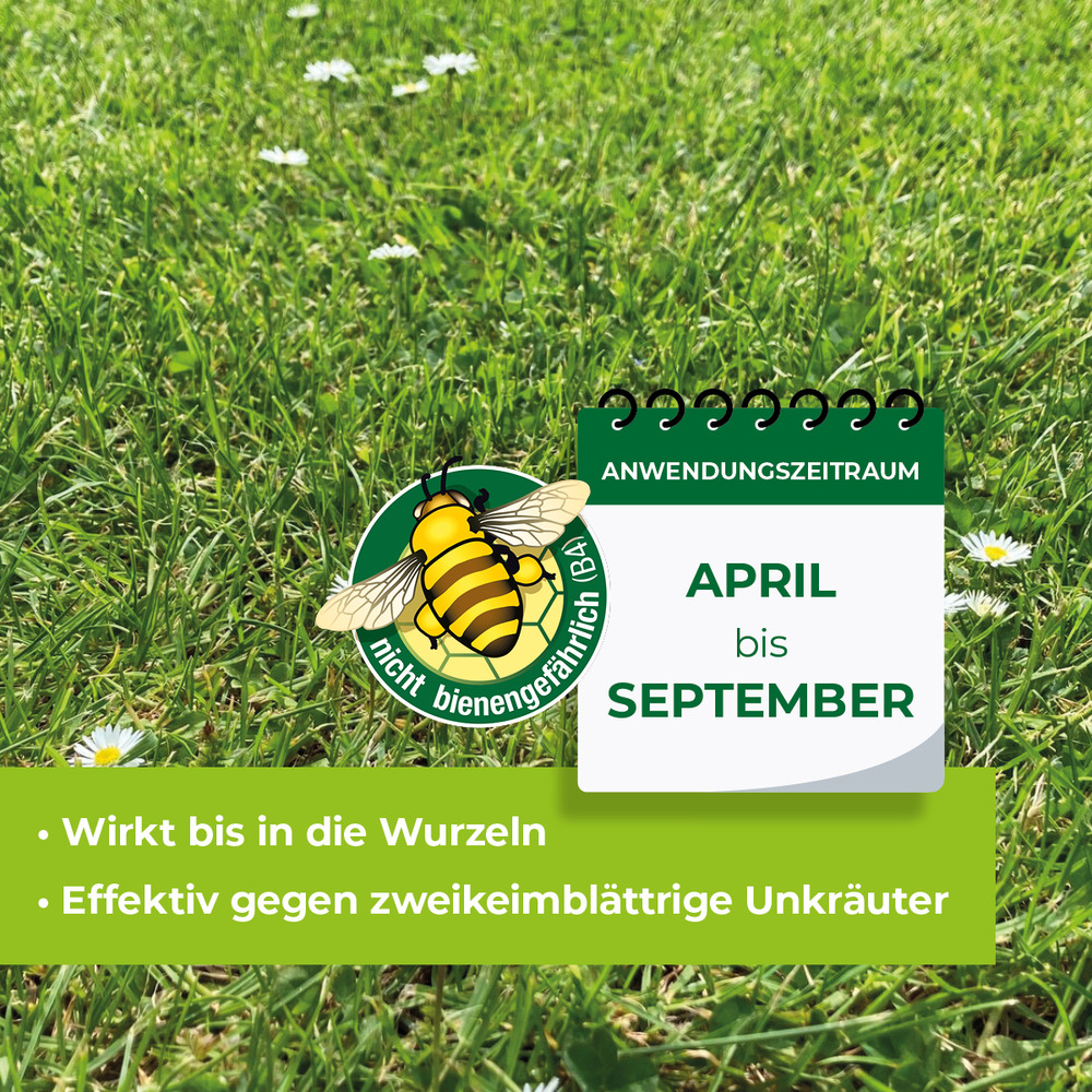  Protect Garden® Loredo® Quattro Universal-Rasenunkrautfrei 400 ml image number 5