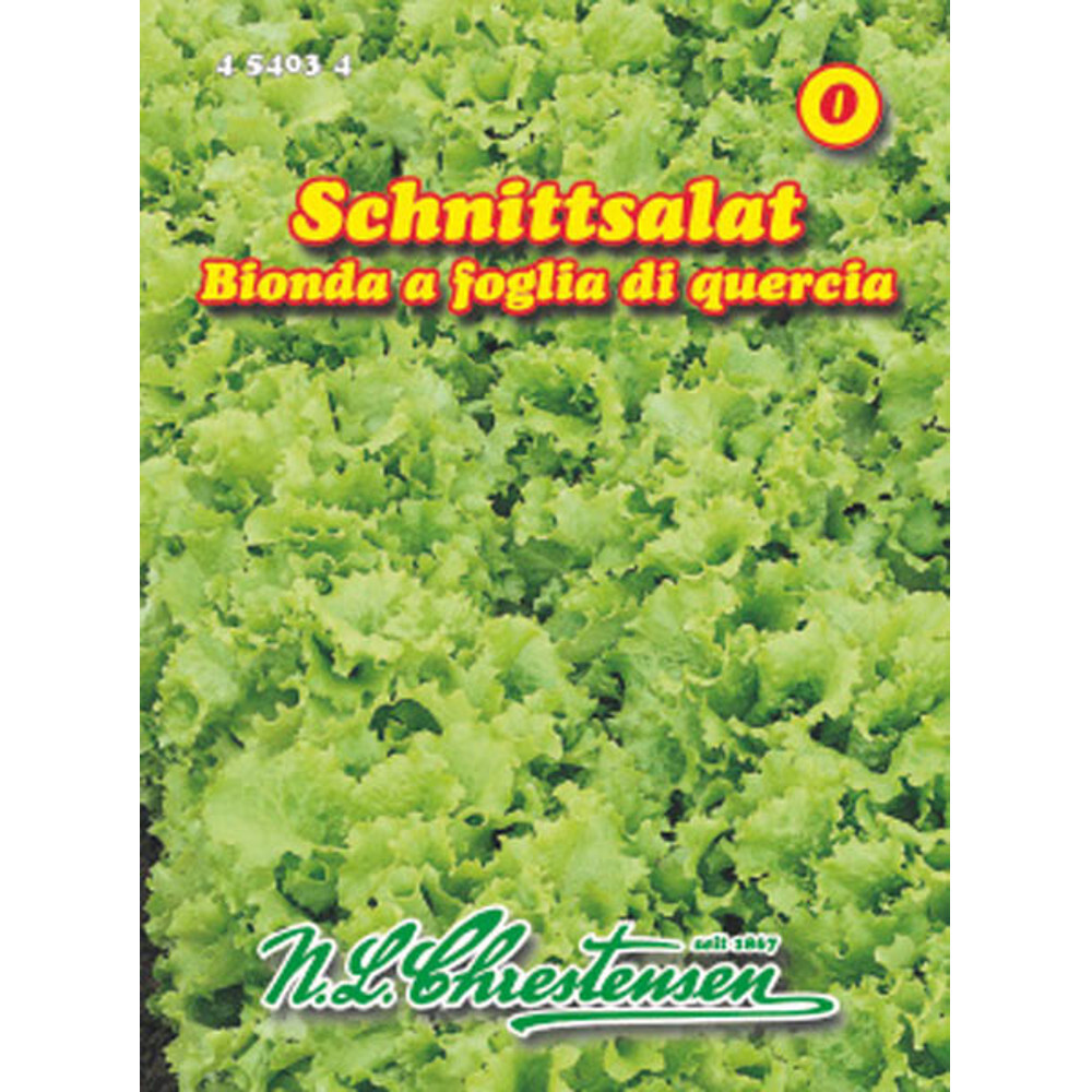 Saatgut Schnittsalat Bionda a foglia di quercia 5 m image number 0