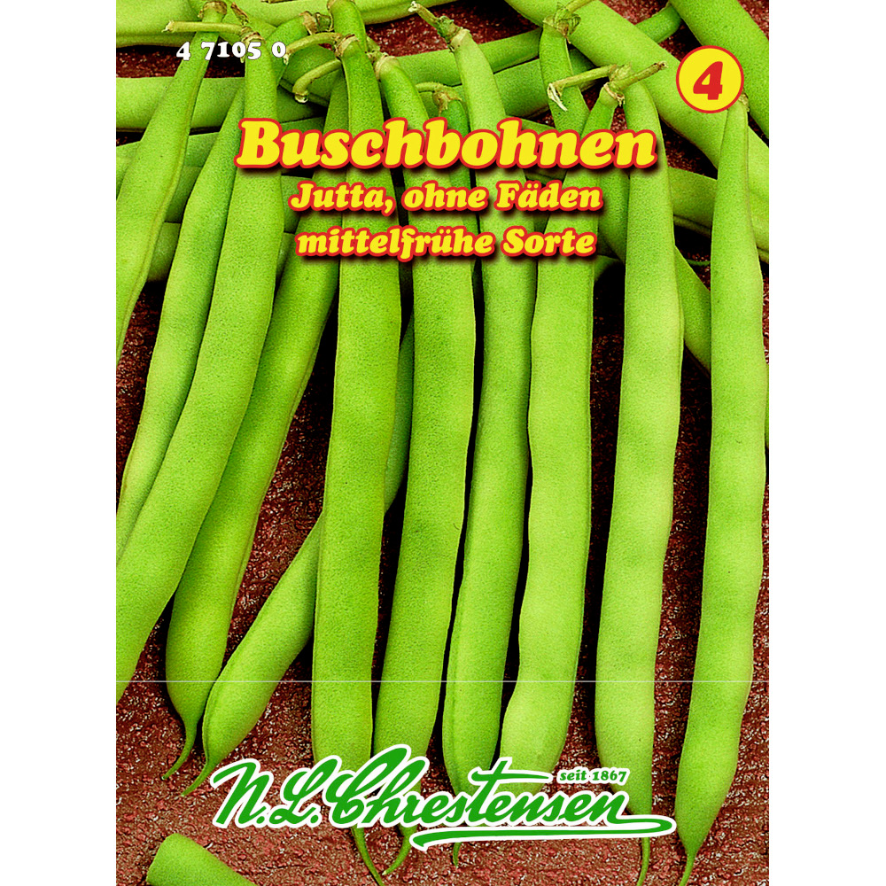 Saatgut Buschbohnen Jutta ca. 9 laufende Meter image number 0