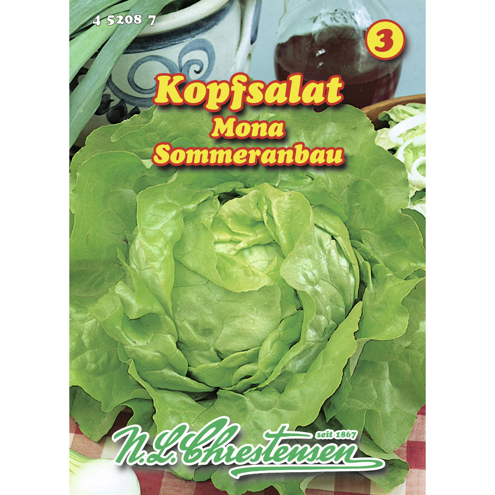 Saatgut Kopfsalat Mona ca. 200 Pflanzen image number 0