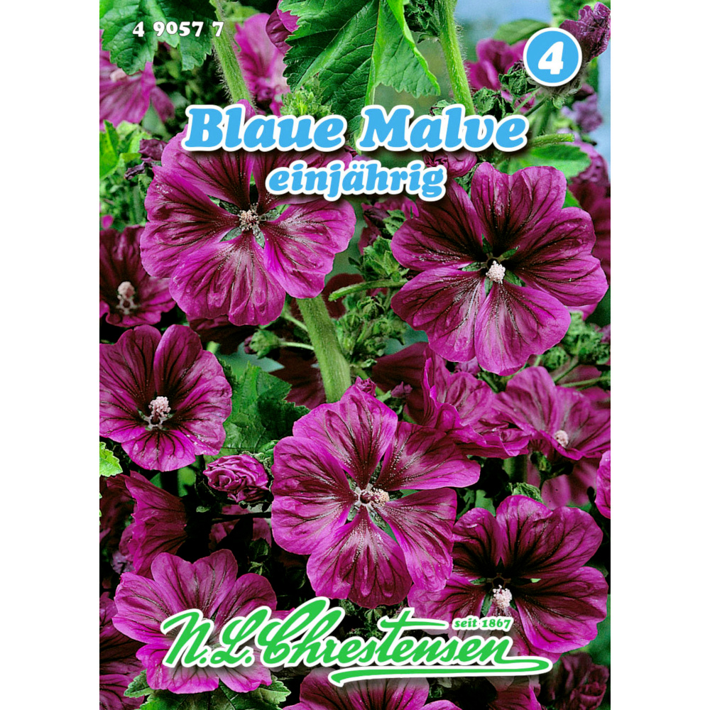 Saatgut Blaue Malve ca. 80 Pflanzen image number 0
