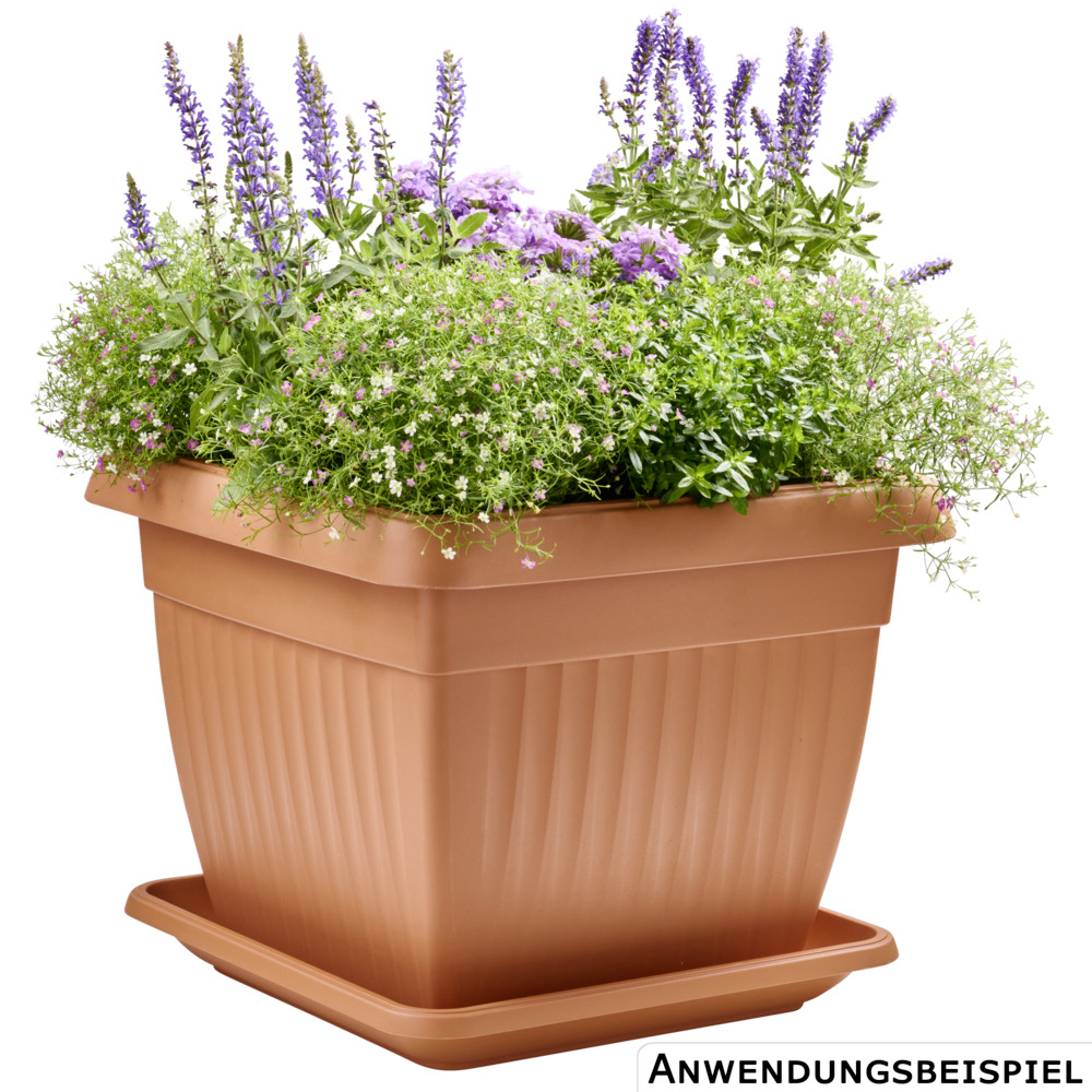 Prosperplast Blumentopf Terra eckig 45 x 45 cm in Terracotta image number 1