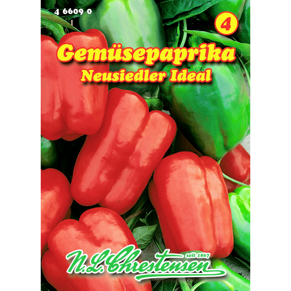 Saatgut Gemüsepaprika ca. 50 Pflanzen rot