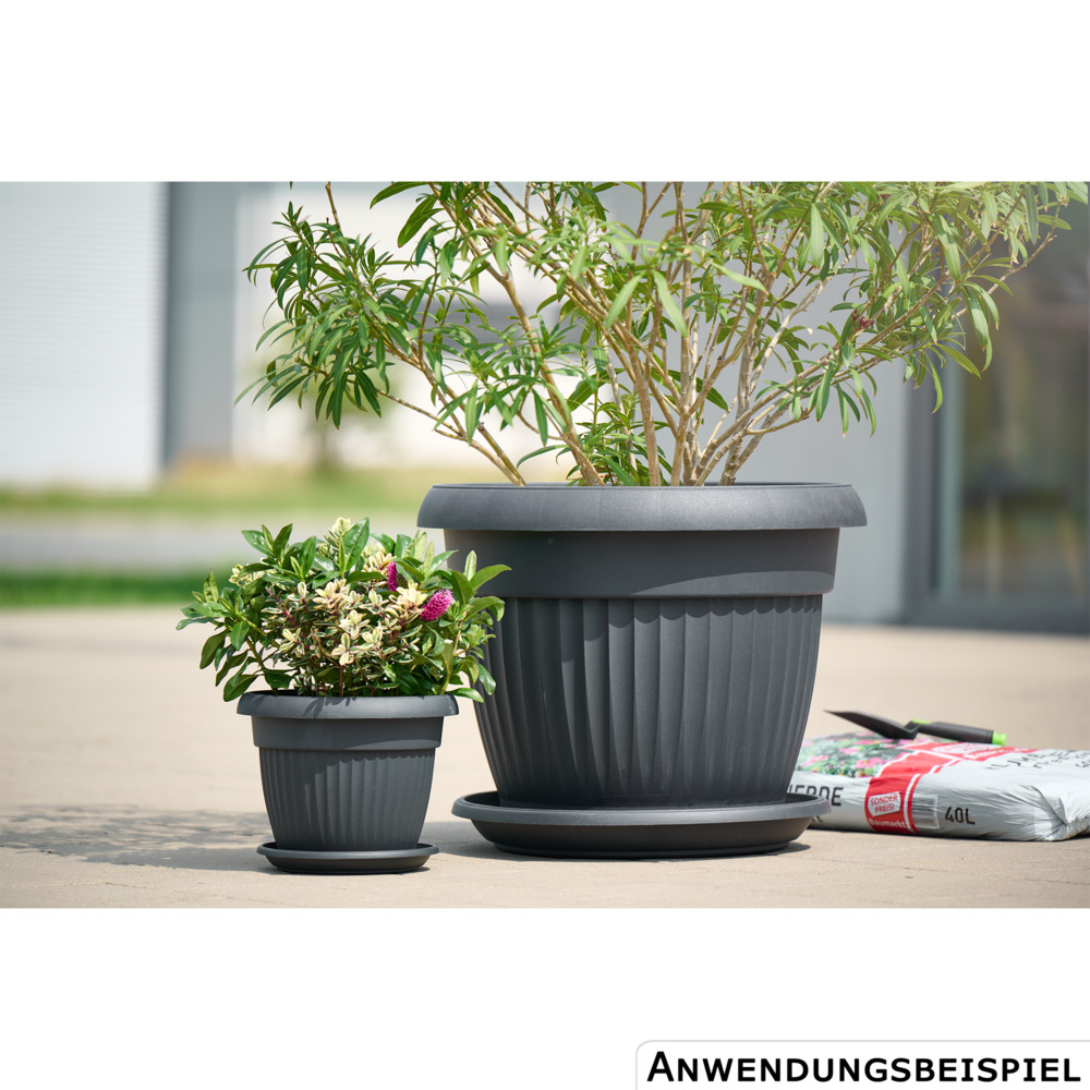 Prosperplast Blumentopf Terra rund Ø 64 cm in Anthrazit image number 1