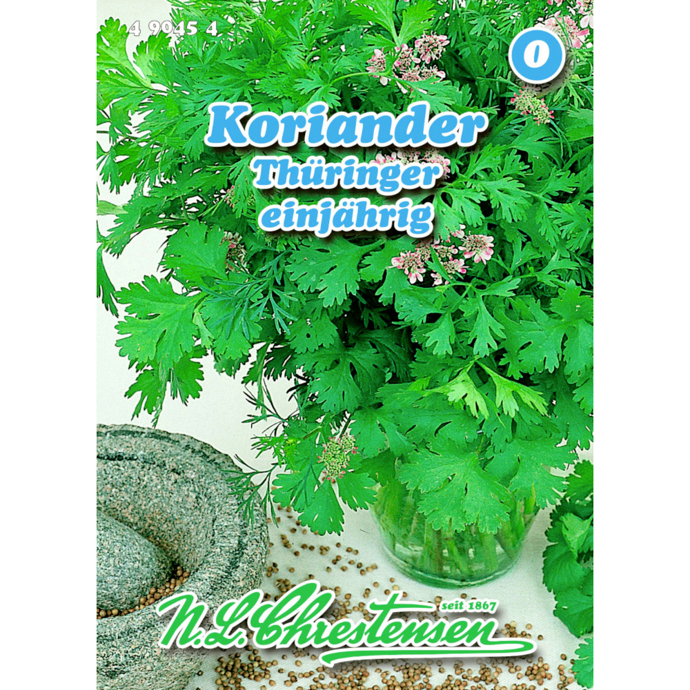 Saatgut Koriander Thringer ca. 80 Pflanzen | Sonderpreis Baumarkt