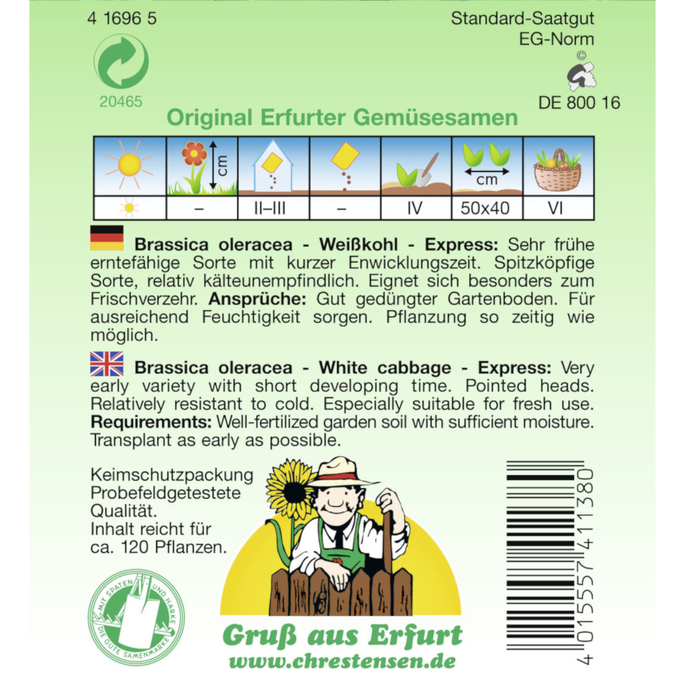 Saatgut Weißkohl Express Spitzkohl ca. 120 Pflanzen image number 1