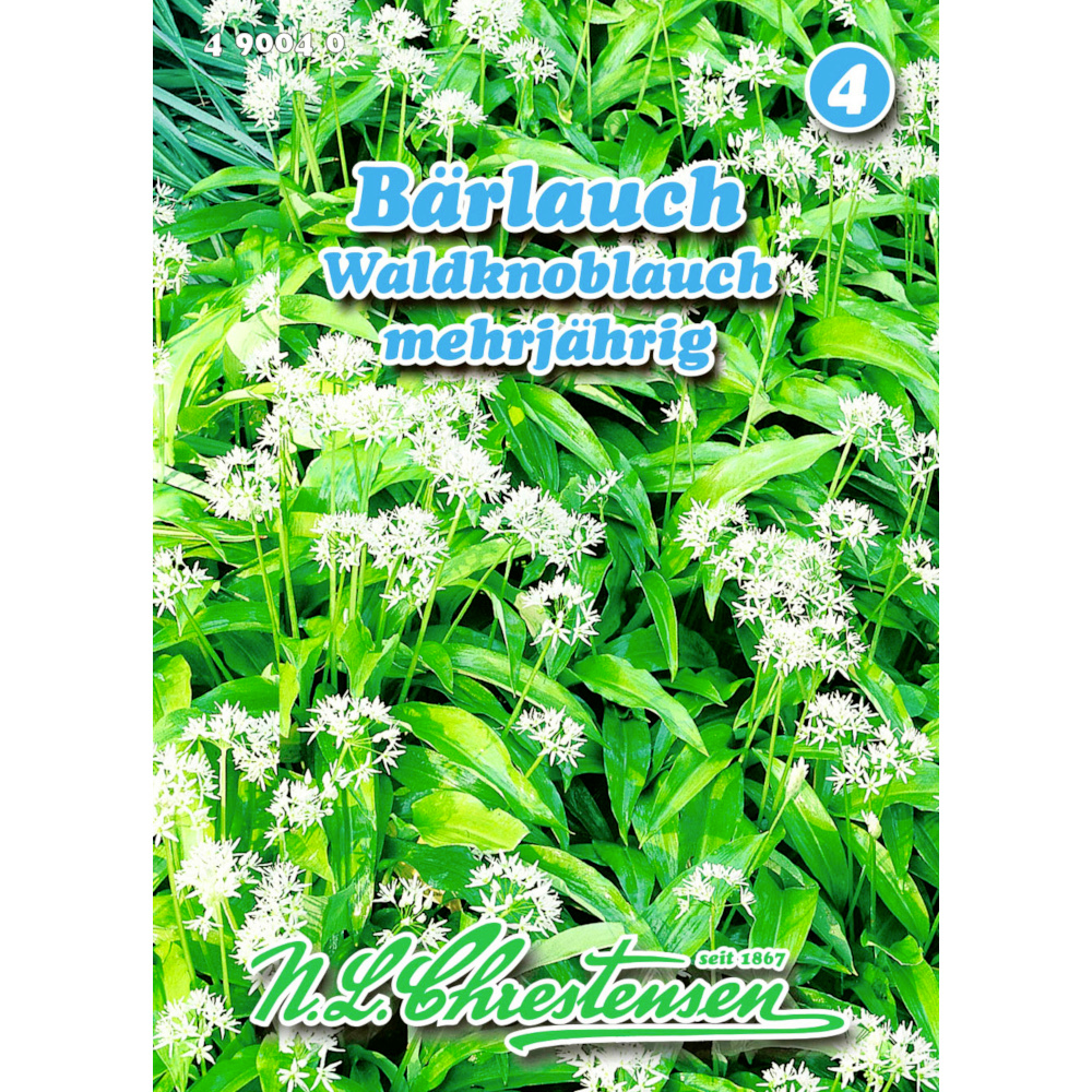 Saatgut Bärlauch ca. 30 Pflanzen image number 0