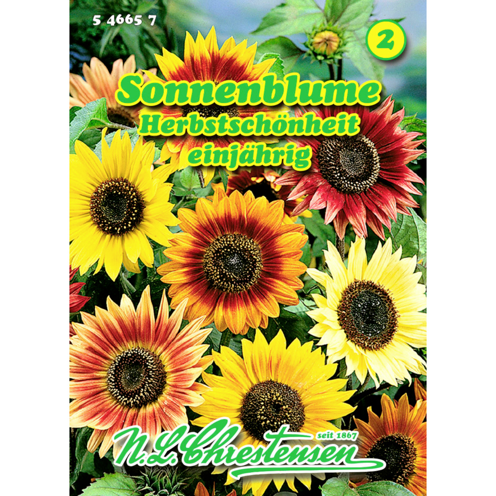 Saatgut Sonnenblume ca. 40 Pflanzen image number 0