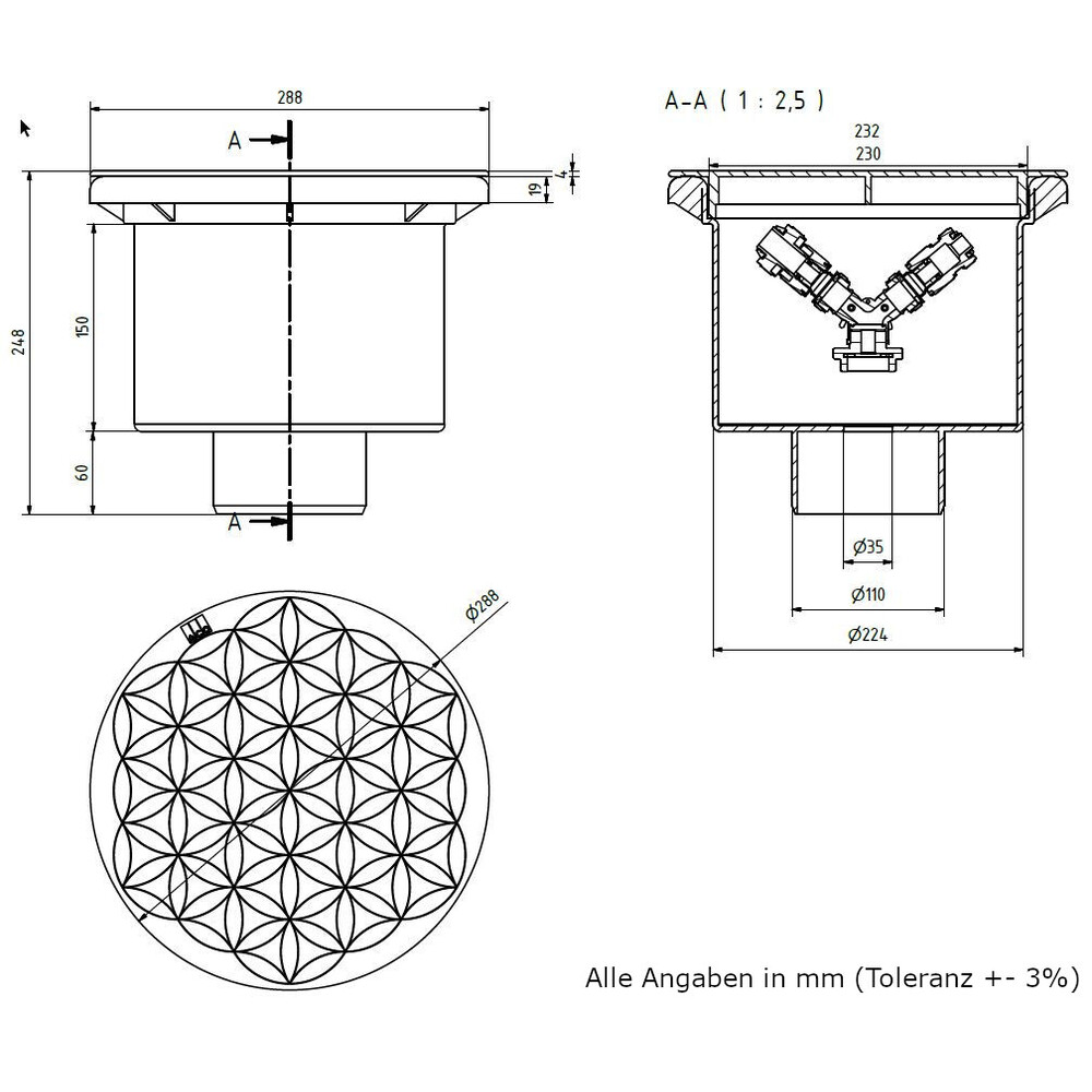 dimensions