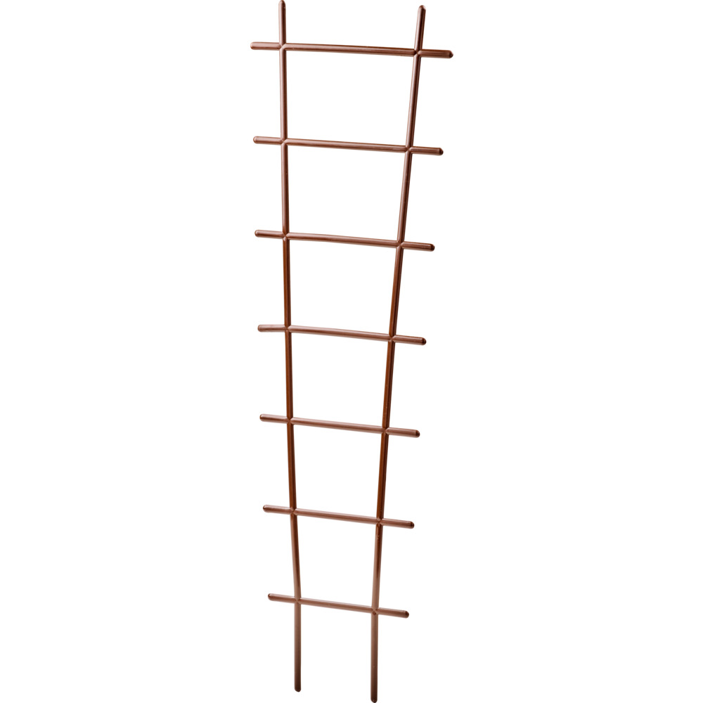 Prosperplast Rankhilfe 20 x 67 cm Braun
