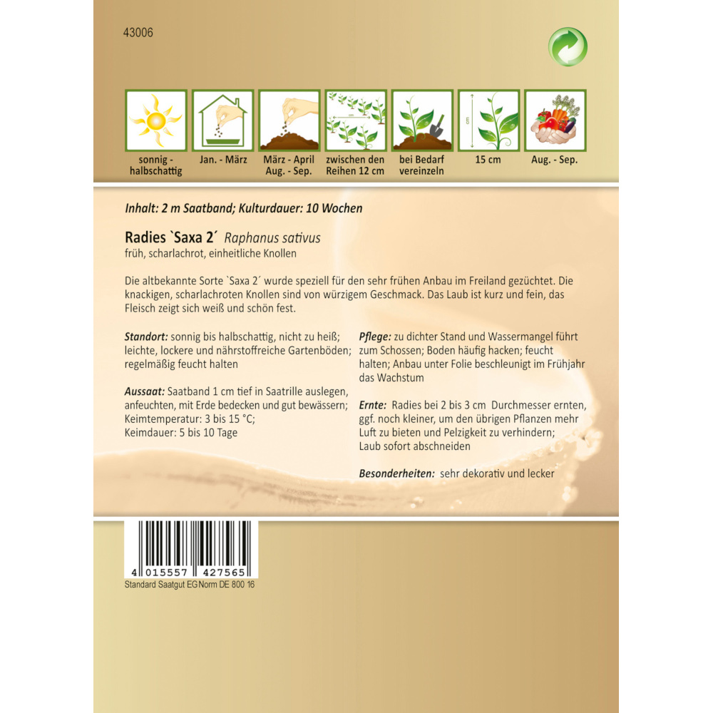 Saatband Radies Saxa ca. 2 laufende Meter image number 1