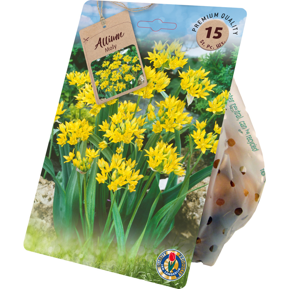 Blumenzwiebeln Gold-Lauch 15 St&uuml;ck gelb