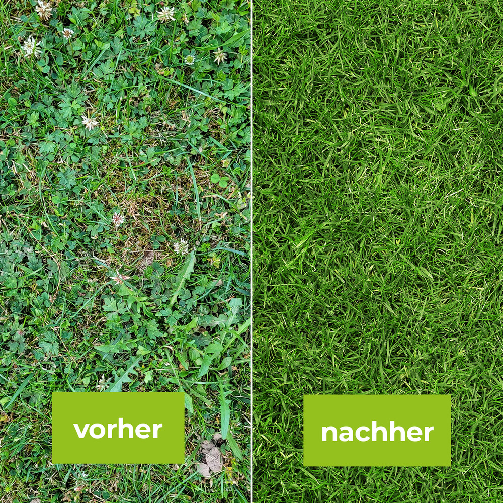  Protect Garden® Loredo® Quattro Universal-Rasenunkrautfrei 250 ml image number 4