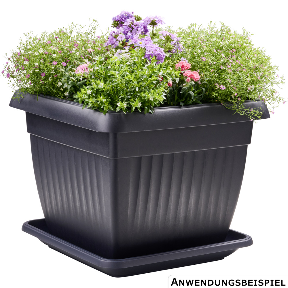 Prosperplast Untersetzer Terra eckig 41 x 41 cm in Anthrazit image number 1