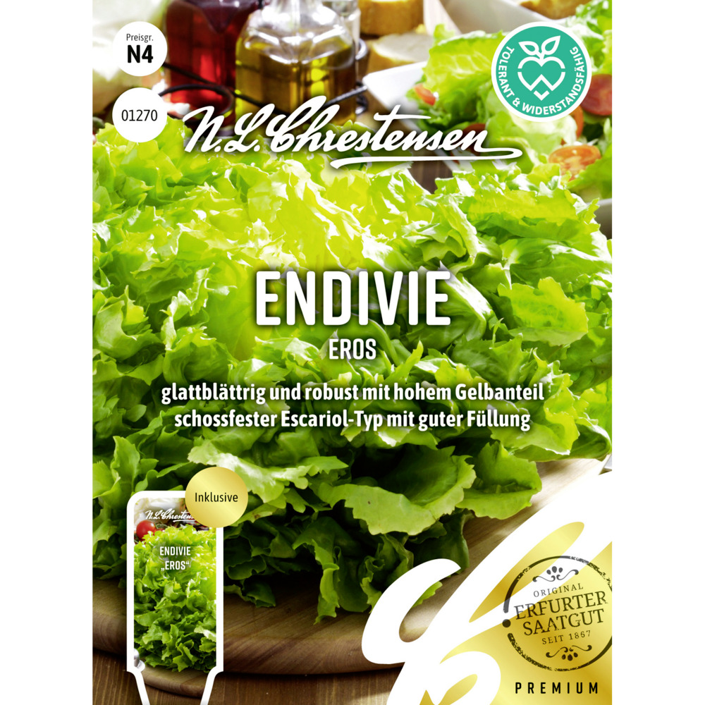 Saatgut Endivie Eros