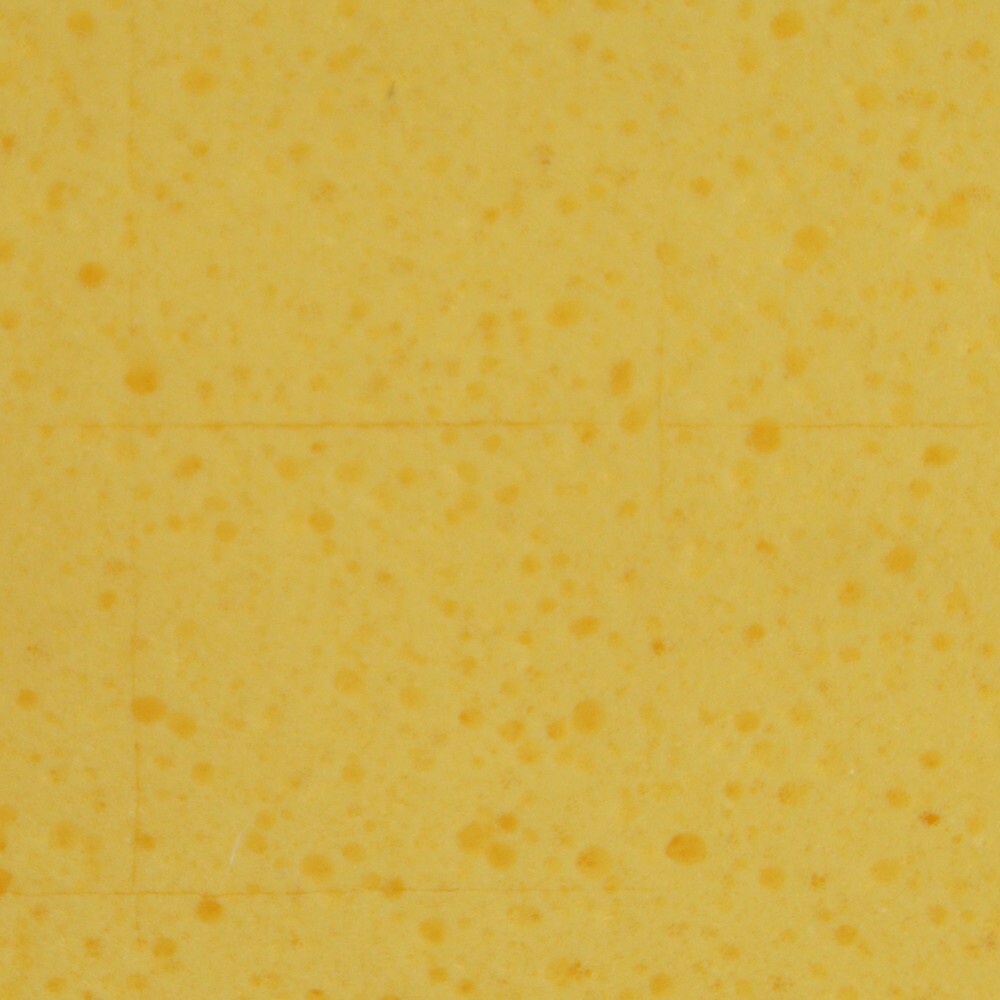Kunststoff Reibebrett 280x140mm mit Hydroschwammbelag