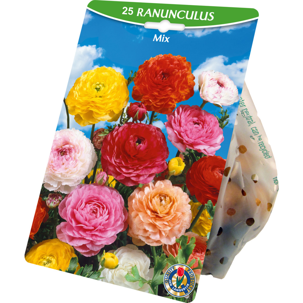 Blumenzwiebeln Ranunkeln Mix 20 St&uuml;ck, bunt