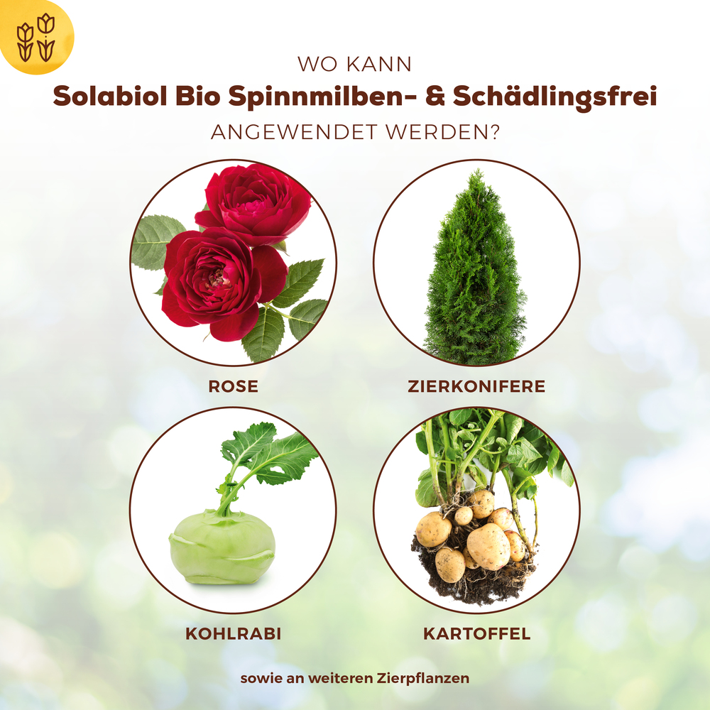 Bio Spinnmilben- & Schädlingsfrei Konzentrat image number 2