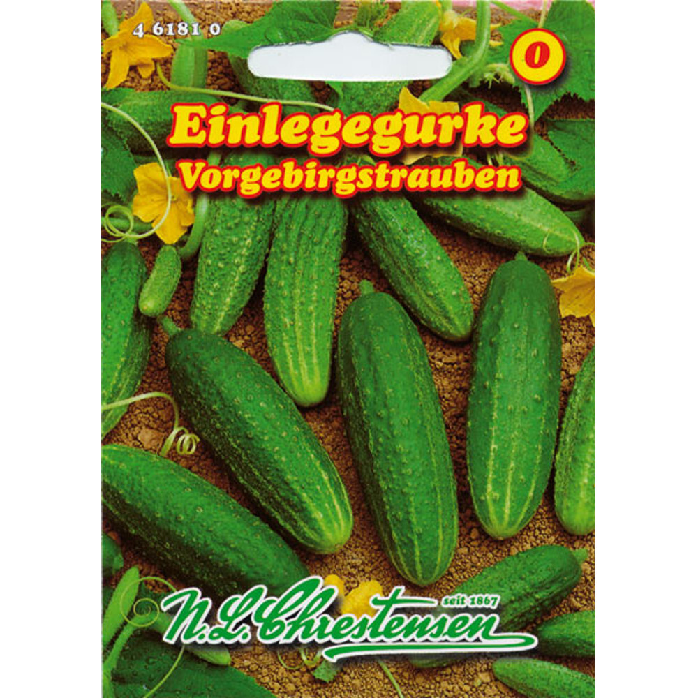Saatgut Einlegegurke ca. 30 Pflanzen | Sonderpreis Baumarkt