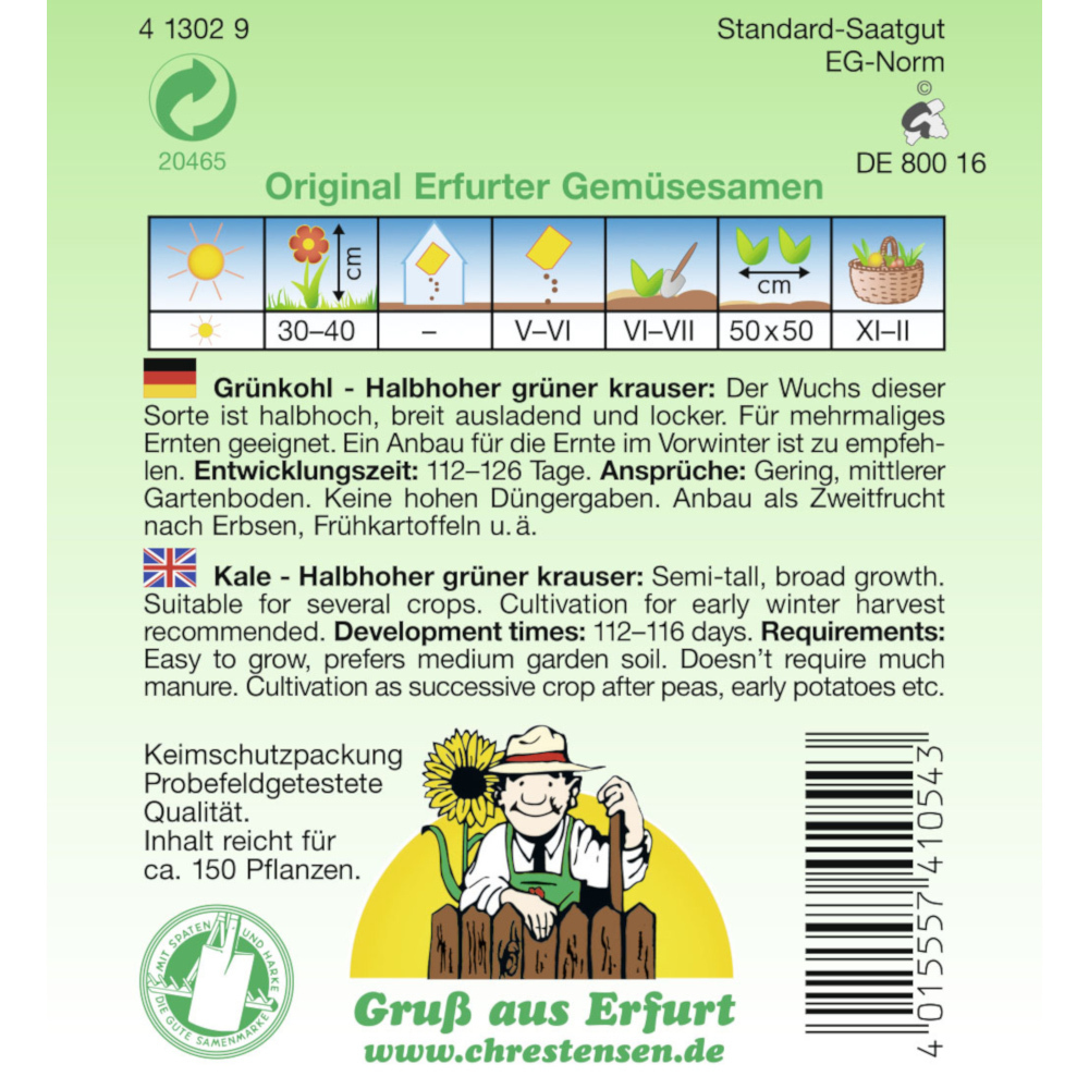 Saatgut Grünkohl ca. 150 Pflanzen image number 1
